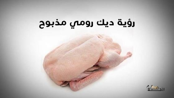 رؤية ديك رومي مذبوح ومنظف