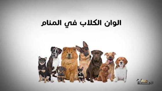 ألوان الكلاب في المنام